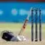 Cricket generic