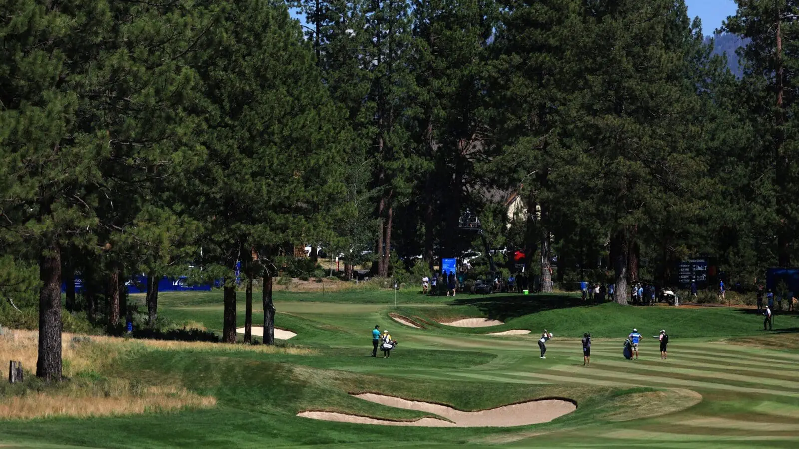 Barracuda tahoe mountain club scaled