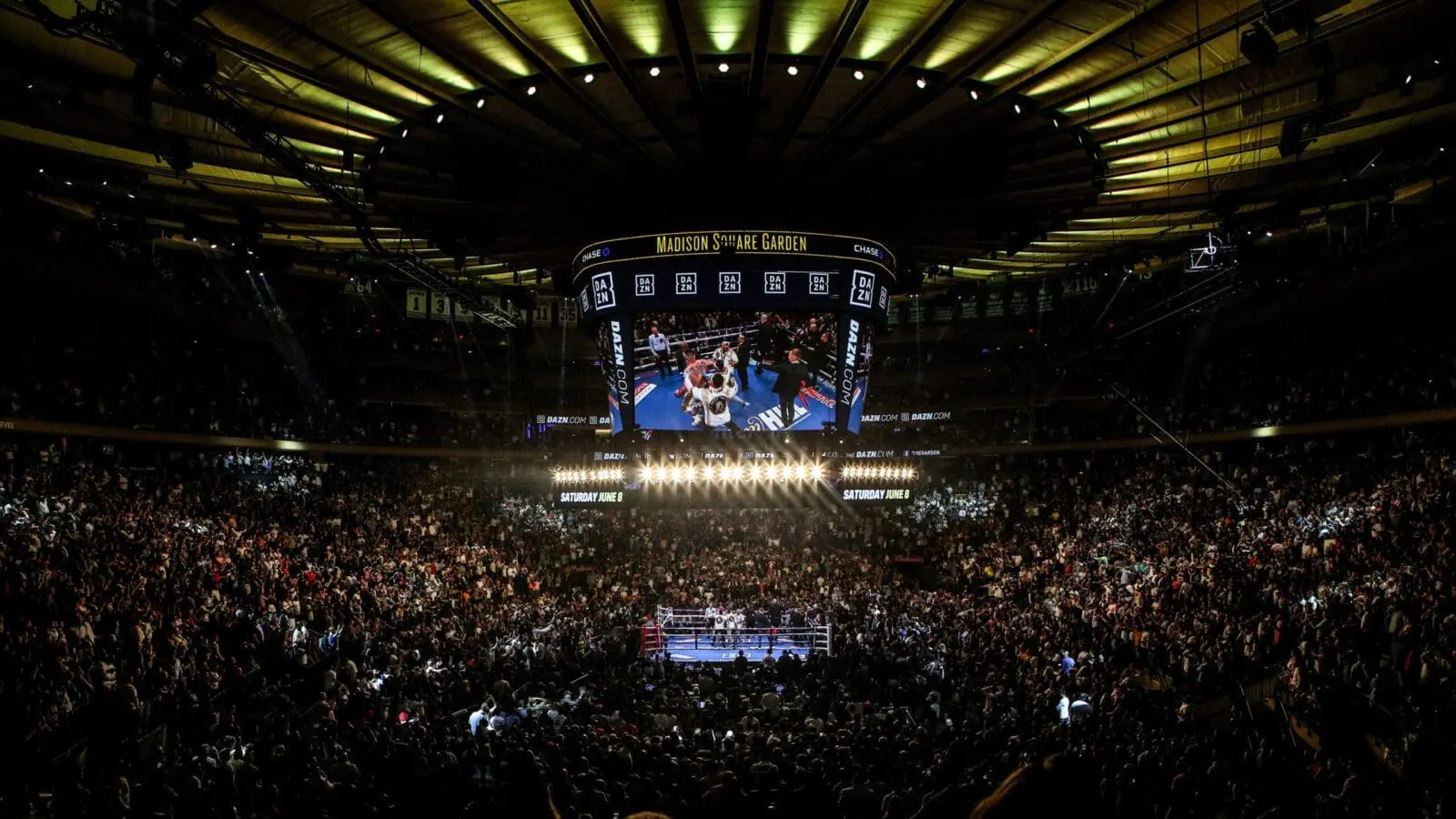 Boxing madison square garden