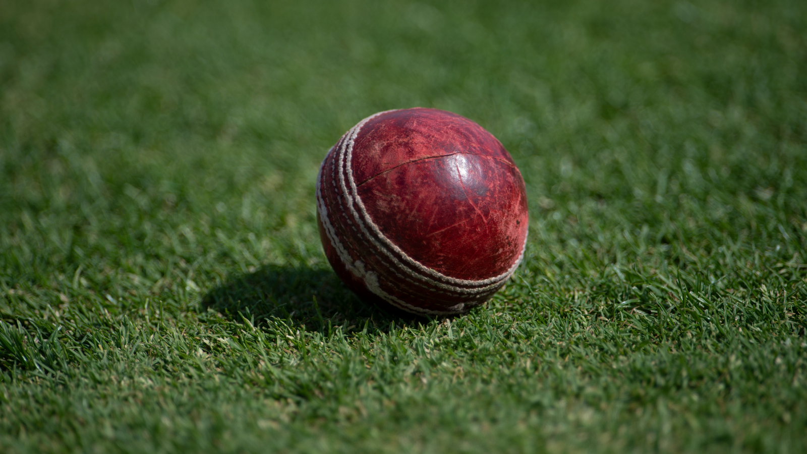 Cricket generic