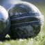 Cricket white ball generic
