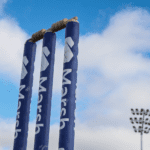 Cricket wicket generic
