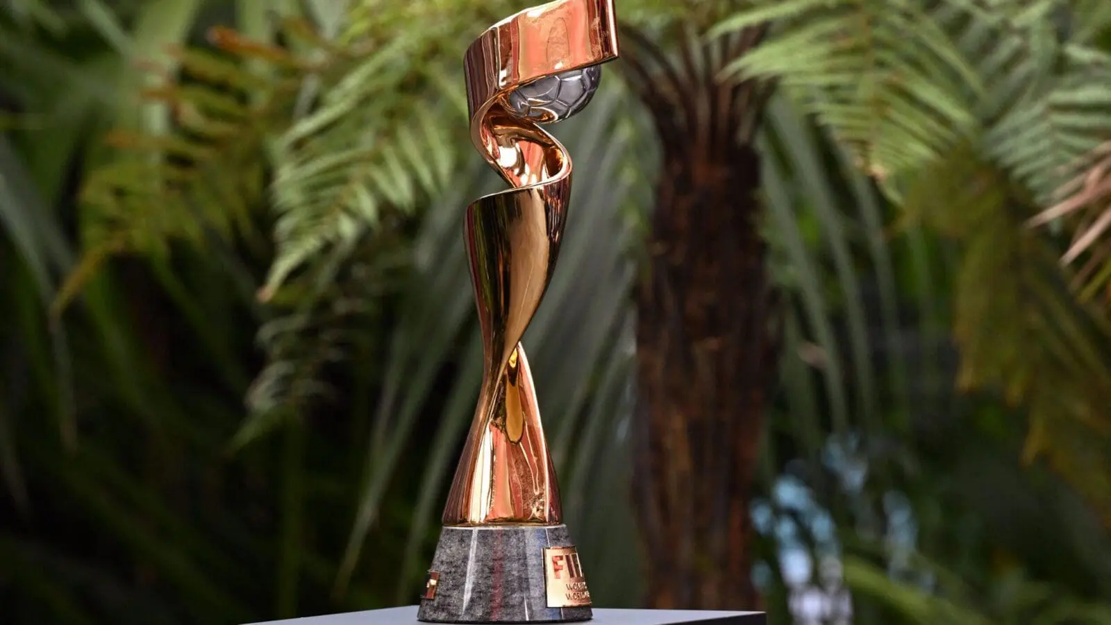 Fifa womens world cup scaled