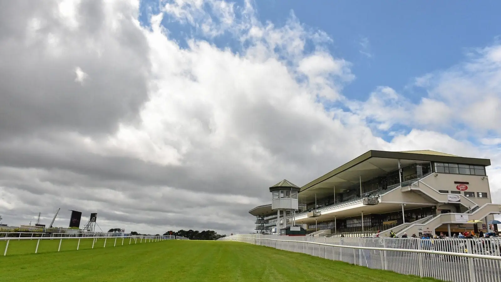 Galway racecourse flat