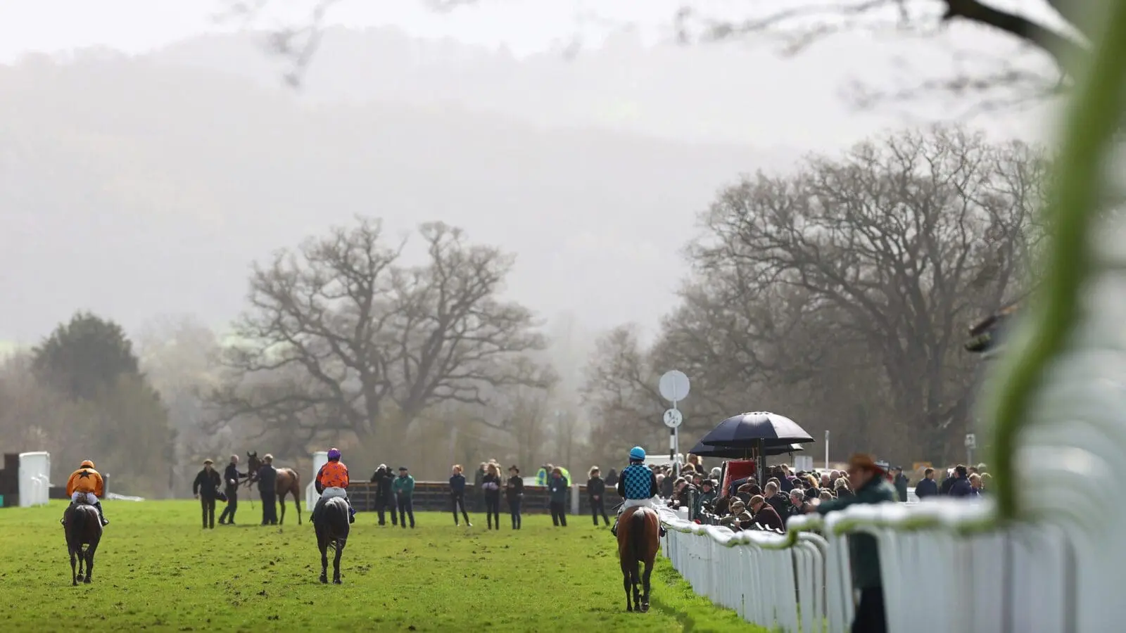 Taunton races scaled