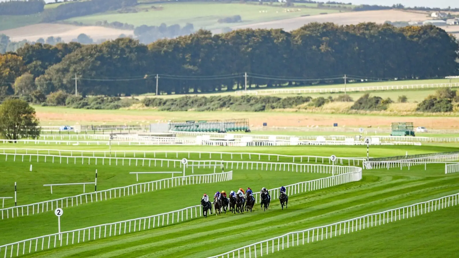 The curragh scaled