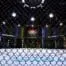 Ufc 3 scaled