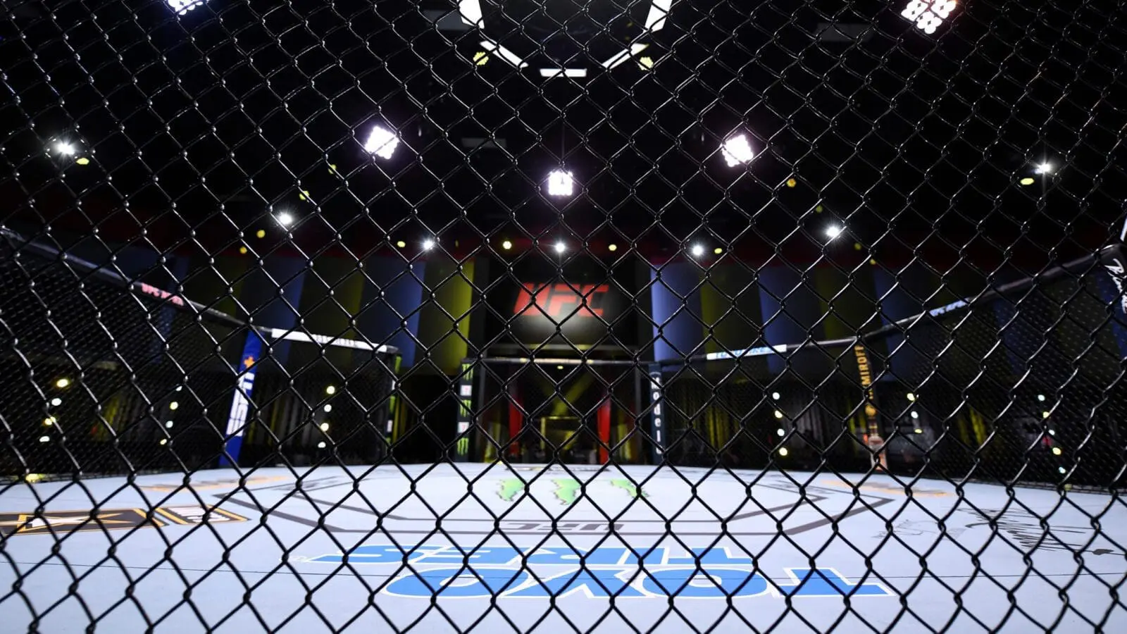 Ufc 3 scaled