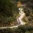 Vuelta a espana cycling scaled