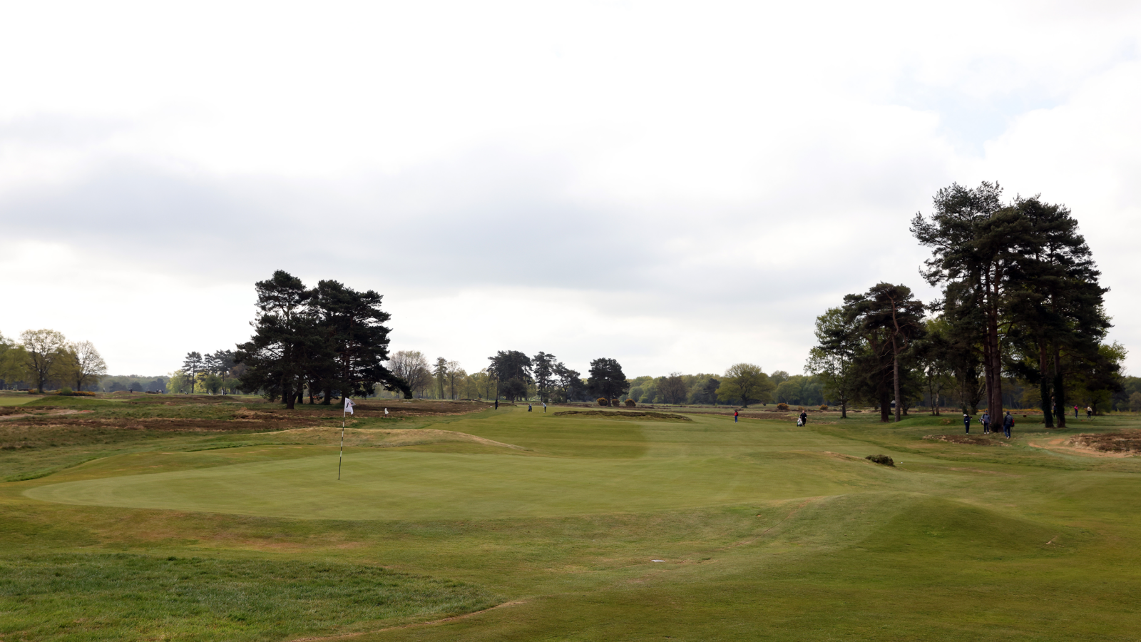 Walton heath golf