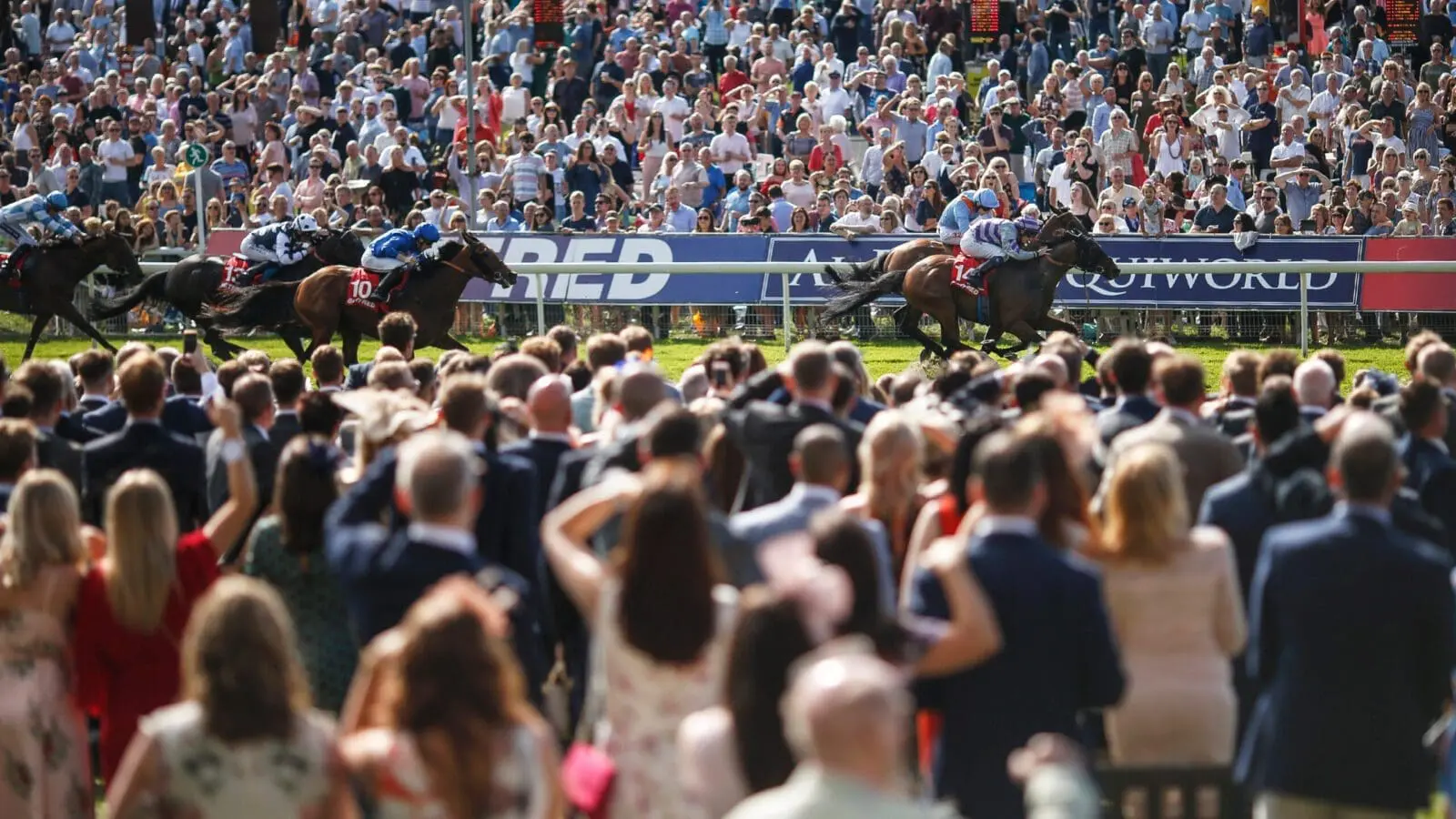 York racecourse