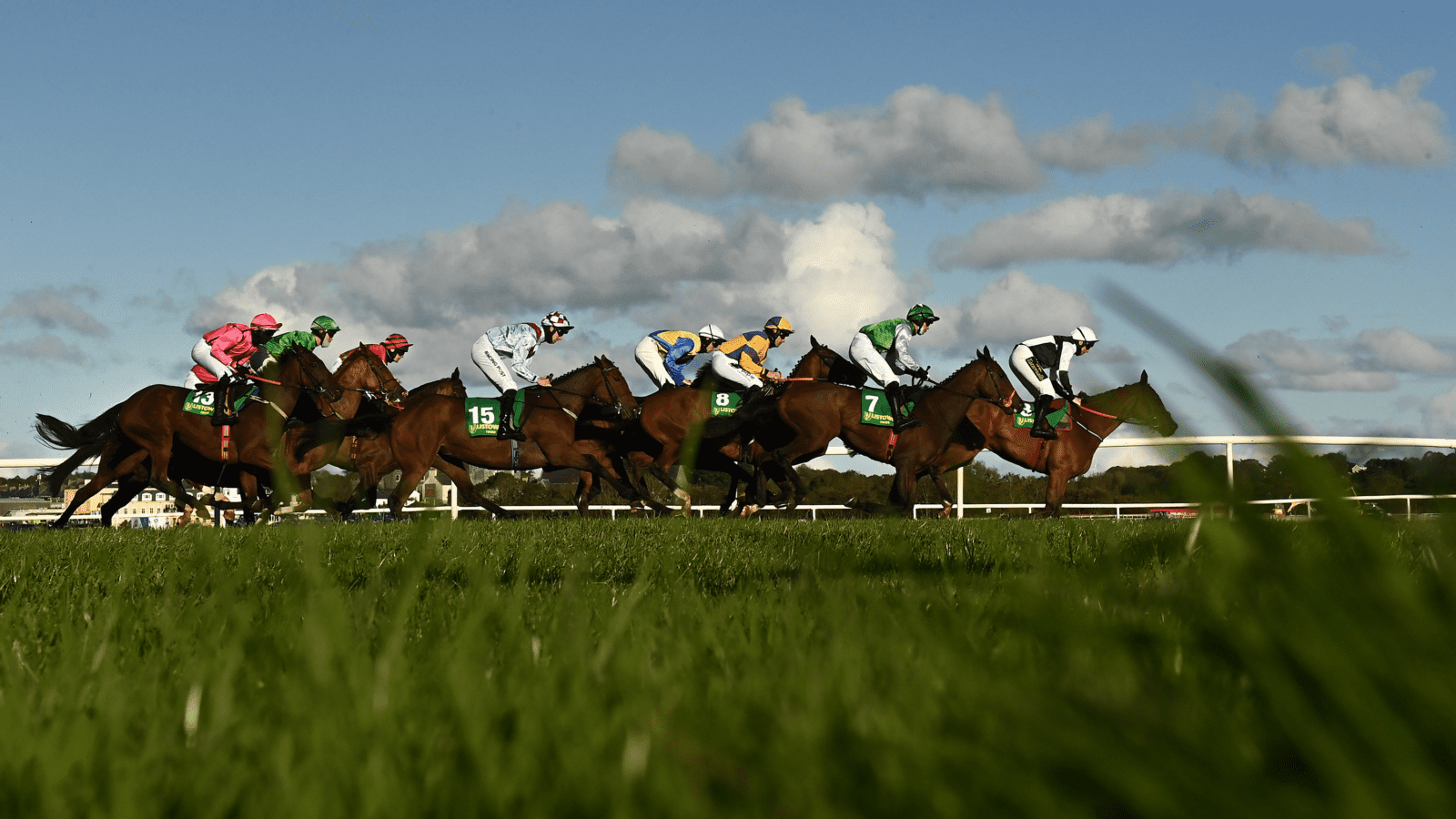 Listowel flat
