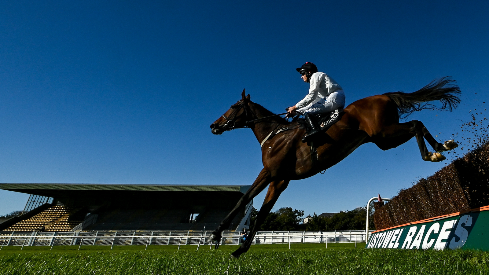 Listowel jumps