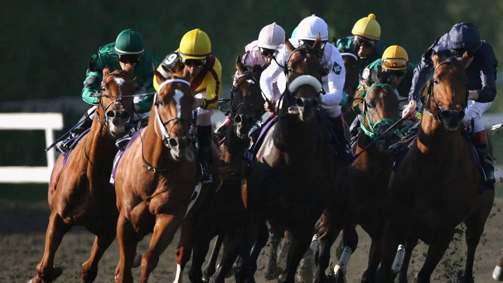 Us horse racing santa anita breeders cup scaled