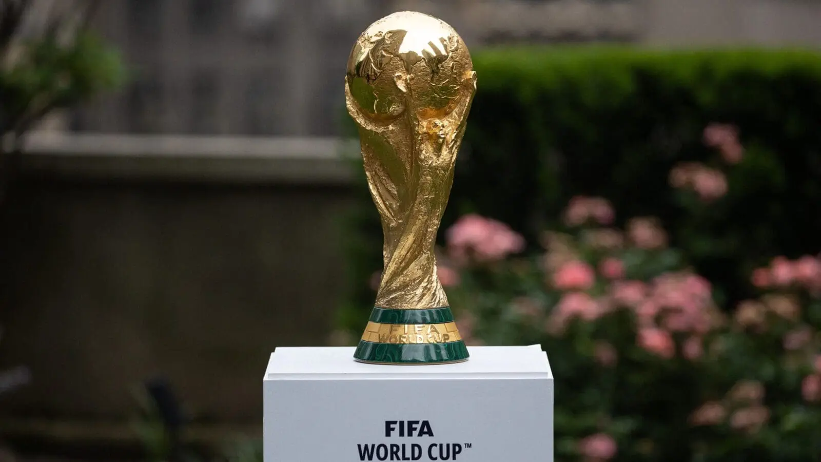 Fifa world cup scaled