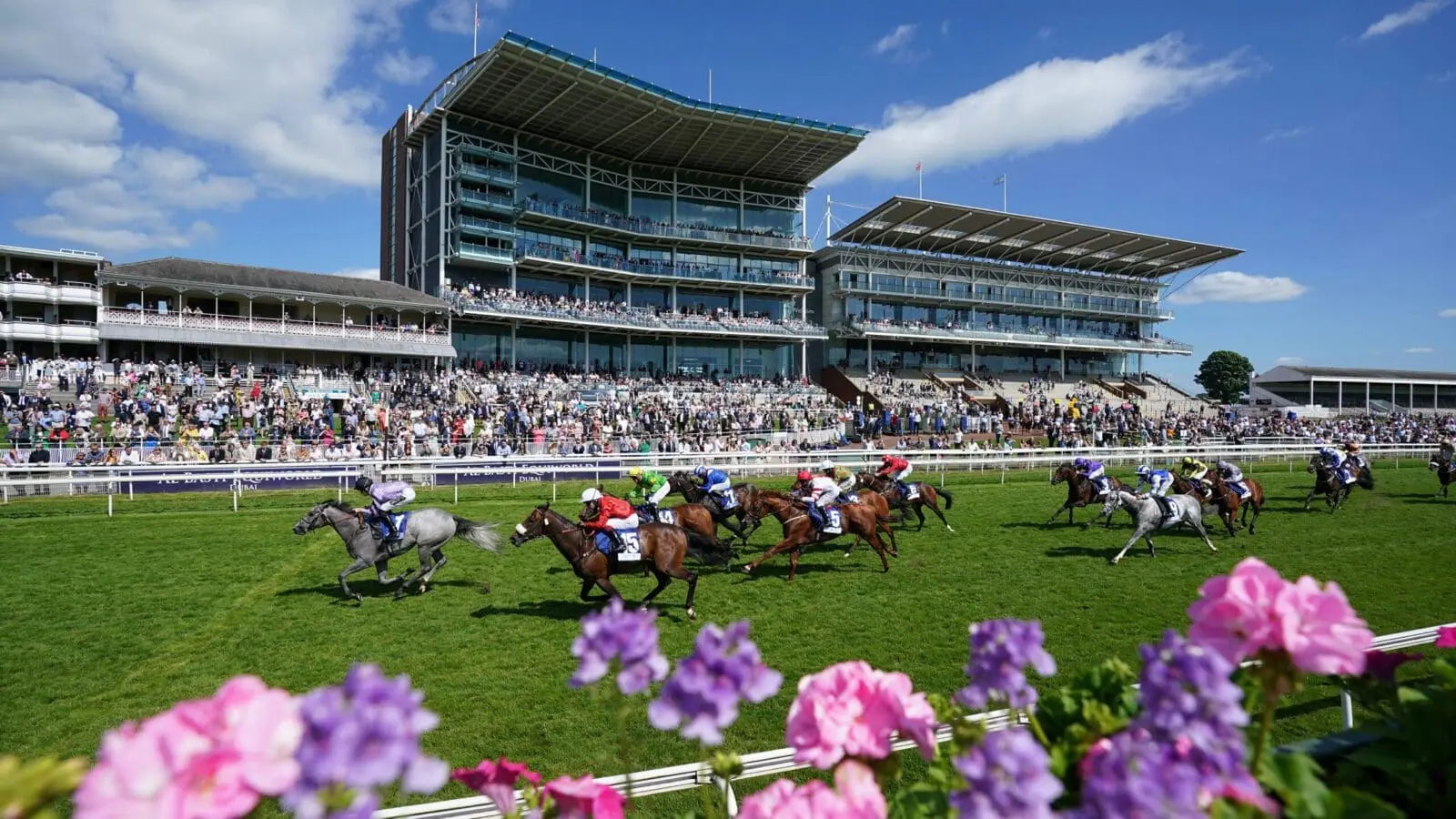 York racecourse 3
