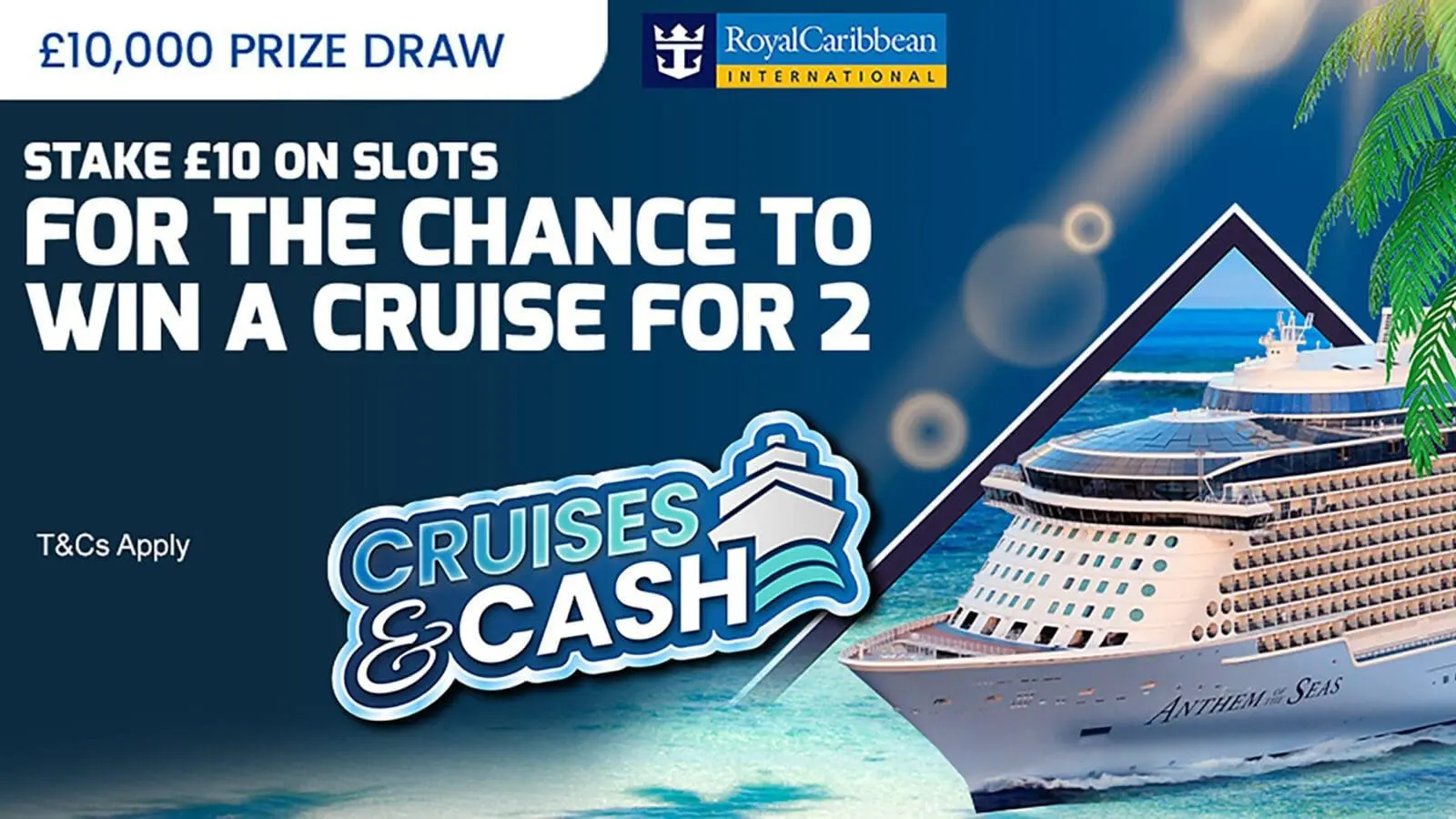 Cruises and cash small scaled