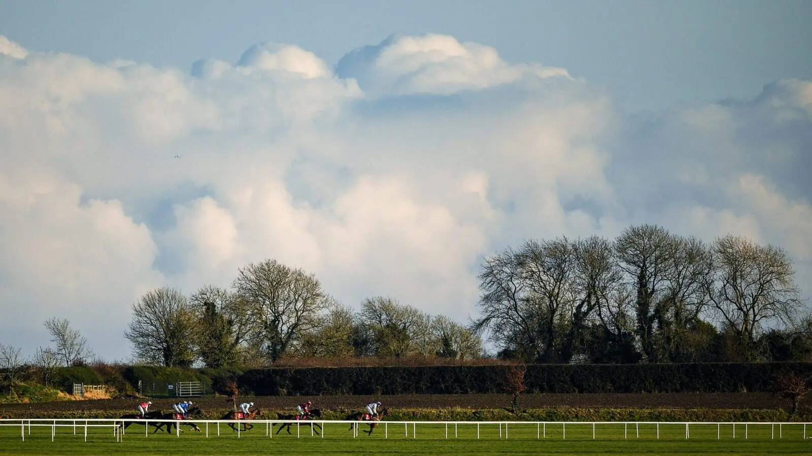 Fairyhouse races racecourse racing scaled