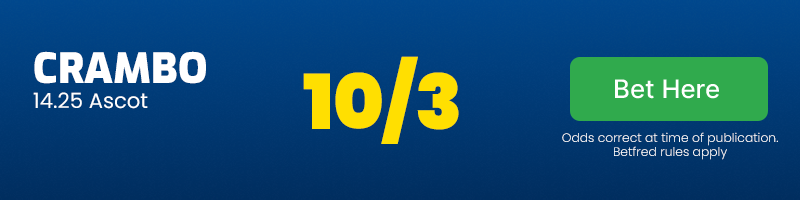 Crambo 14. 25 ascot