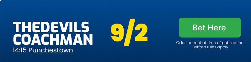 Thedevilscoachman to win the 14:15 at punchestown at 9/2