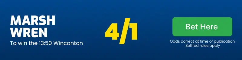 Marsh wren to win the 13. 50 wincanton at 4/1