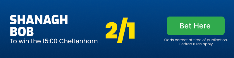 Shanagh bob to win the 3pm cheltenham at 2-1