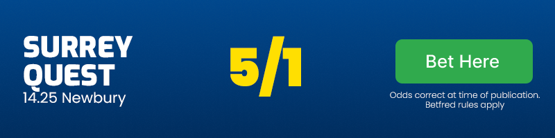 Surrey quest 14. 25 newbury