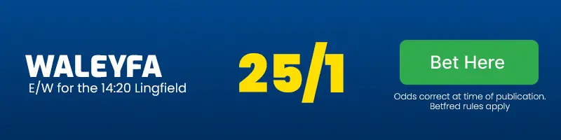 Walefya each-way for the 14. 20 lingfield at 25/1