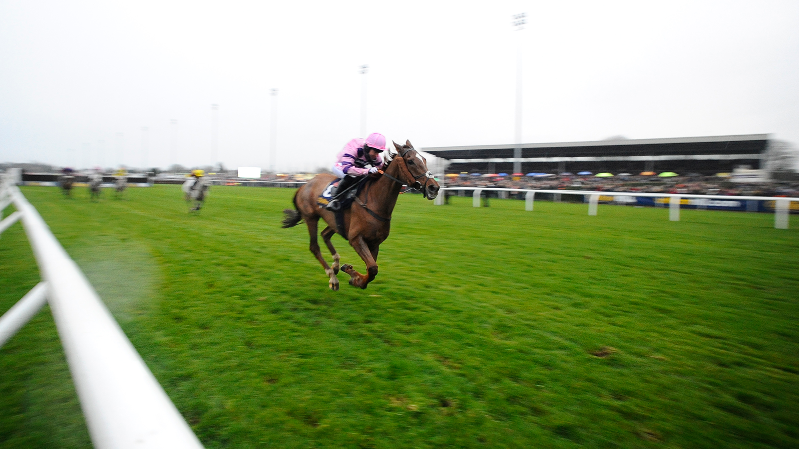 Kempton jumps king george