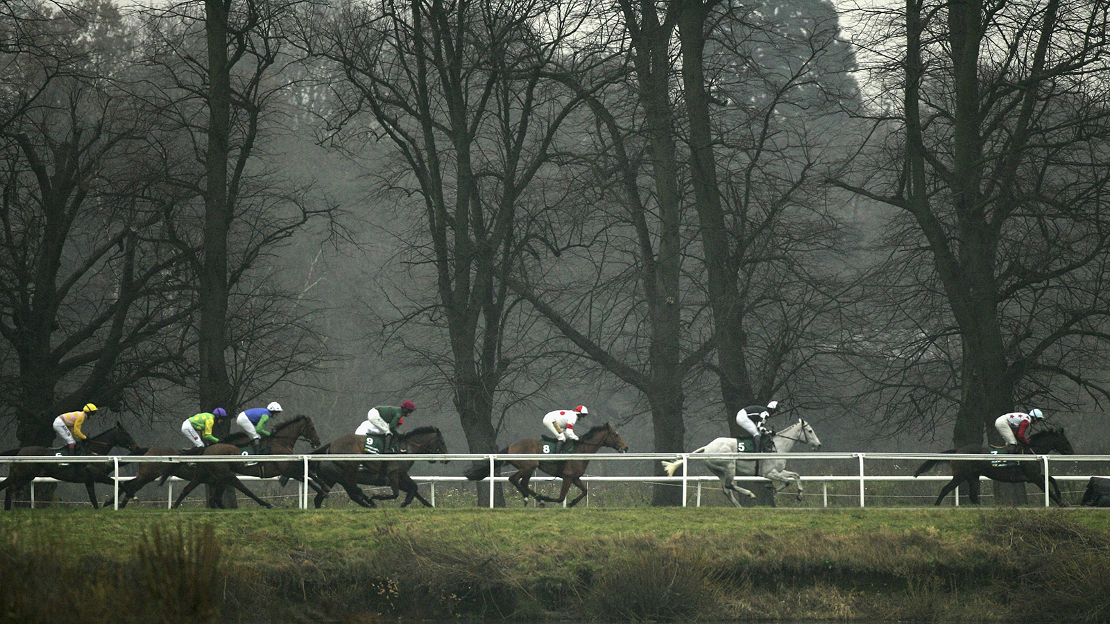 Kempton jumps racecourse