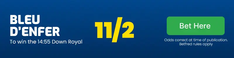 Bleu d'enfer to win the 14. 55 down royal at 11/2
