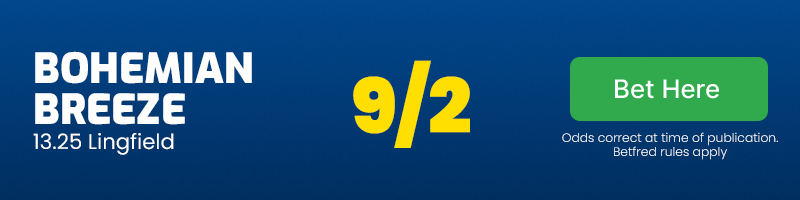 Bohemian breeze lingfield 13. 25