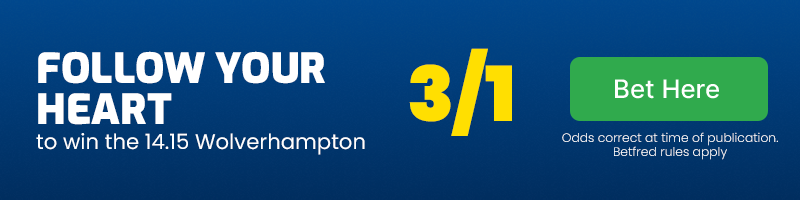 Follow your heart to win 14. 15 wolverhampton at 3-1