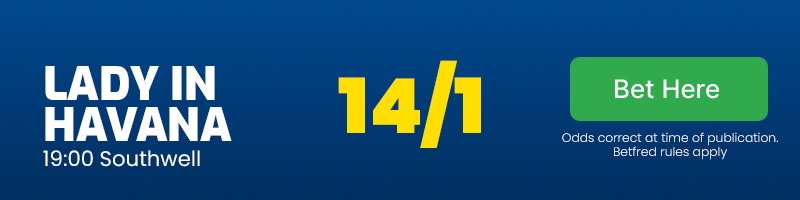 Lady in havana at 14/1