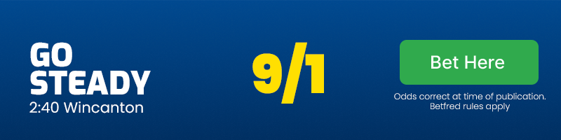Go steady to win the 2:40 at wincanton at 9/1