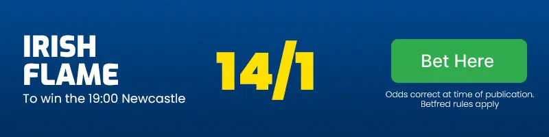 Irish flame to win the 19. 00 newcastle at 14/1