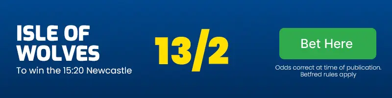 Isle of wolves to win the 15. 20 newcastle at 13/2
