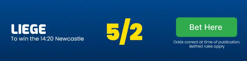 Liege to win the 14. 20 newcastle at 5/2