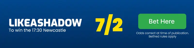 Likeashadow to win the 17. 30 newcastle at 7/2