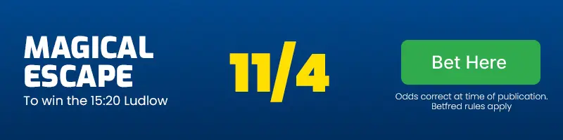 Magical escape to win the 15. 20 ludlow at 11/4