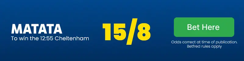 Matata to win the 12. 55 cheltenham at 15/8