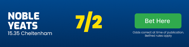 Noble yeats 15. 35 cheltenham