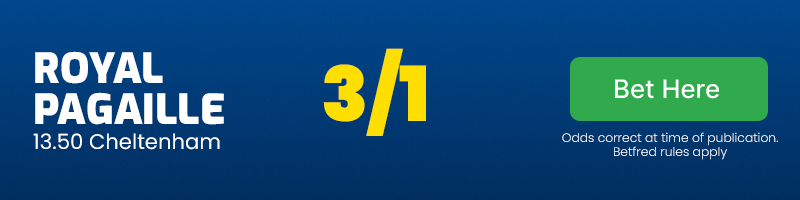 Royal pagaille 13. 50 cheltenham