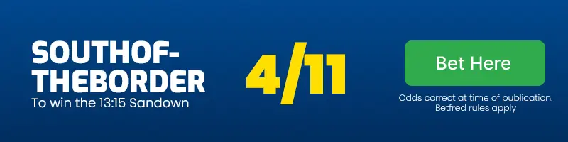 Southoftheborder to win the 13. 15 sandown at 4/11