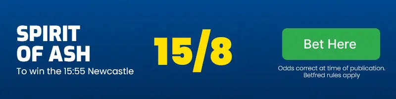 Spirit of ash to win the 15. 55 newcastle at 15/8