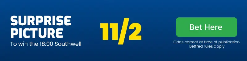 Surprise picture to win the 18. 00 southwell at 11/2