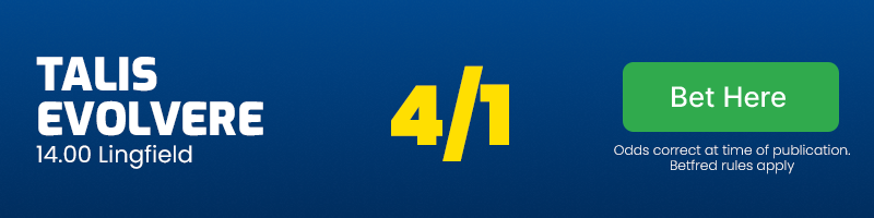 Talis evolvere 14. 00 lingfield