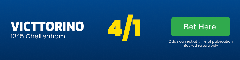 Victtorino in 13. 15 cheltenham at 4-1
