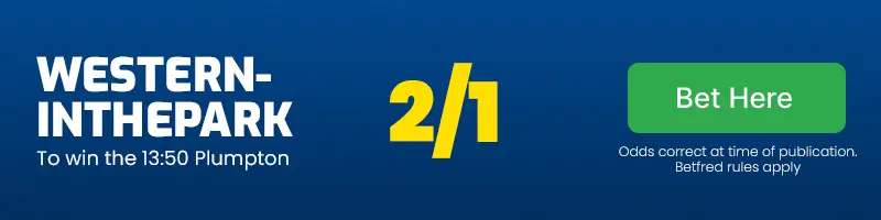 Westerninthepark to win the 13. 50 plumpton at 2/1