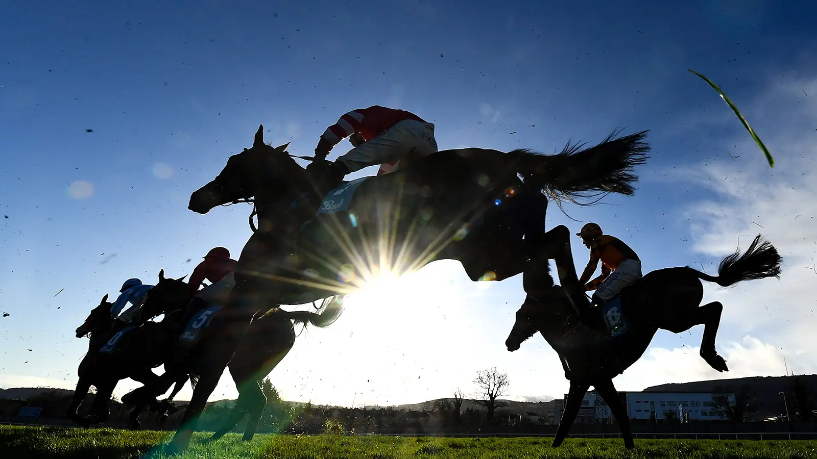 Leopardstown dublin racing festival